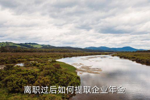 離職企業(yè)年金怎么提取，離職過后如何提取企業(yè)年金