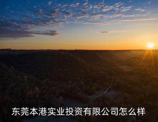 東莞久盈投資有限公司怎么樣，東莞本港實業(yè)投資有限公司怎么樣
