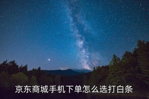 京東商城手機(jī)下單怎么選打白條