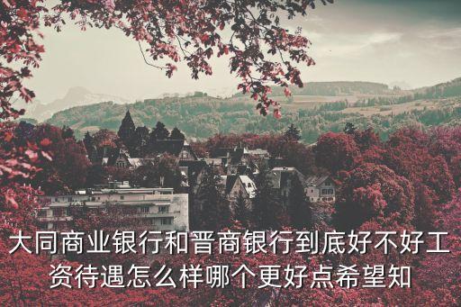 大同商業(yè)銀行和晉商銀行到底好不好工資待遇怎么樣哪個更好點(diǎn)希望知