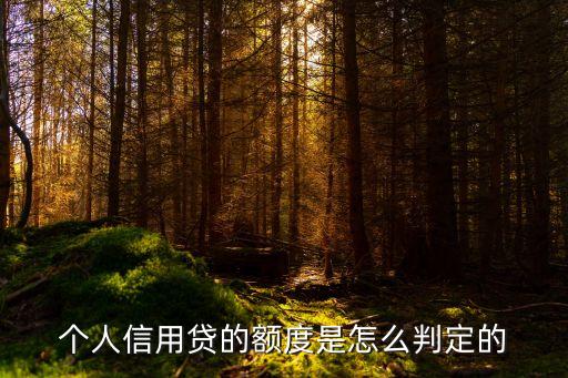 個人信用貸的額度是怎么判定的