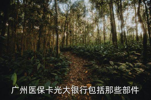 光大醫(yī)保卡怎么辦理，急我是廣州市在校大學(xué)生大一時(shí)辦了80元的光大銀行醫(yī)?？ú?/></a></span><span id=