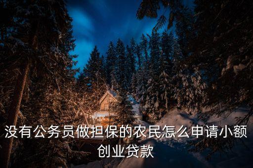 沒有公務(wù)員做擔(dān)保的農(nóng)民怎么申請(qǐng)小額創(chuàng)業(yè)貸款