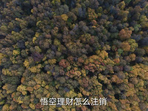 悟空理財(cái)怎么注銷