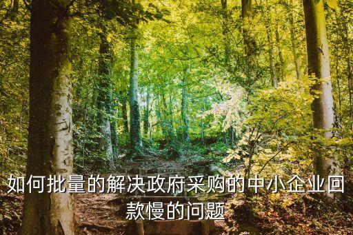 如何批量的解決政府采購的中小企業(yè)回款慢的問題