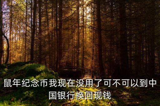 鼠年紀(jì)念幣我現(xiàn)在沒用了可不可以到中國(guó)銀行換回現(xiàn)錢