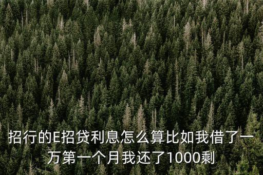 e招貸10000利息怎么算，招行e招貸利息怎么算