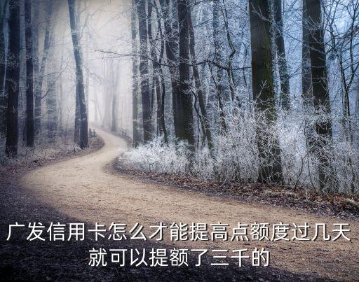 廣發(fā)信用卡怎么才能提高點額度過幾天就可以提額了三千的