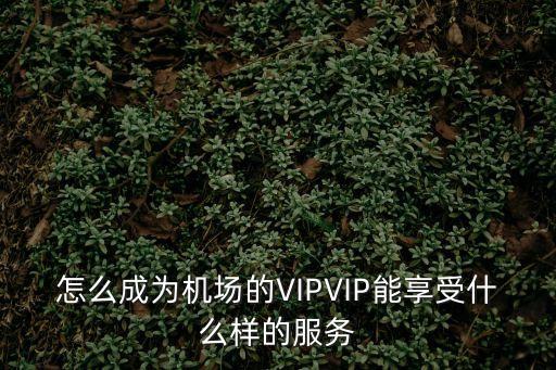 怎么成為機(jī)場的VIPVIP能享受什么樣的服務(wù)