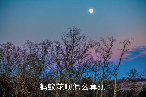 螞蟻花唄怎么套取現(xiàn)金，怎么把螞蟻花唄錢套出來