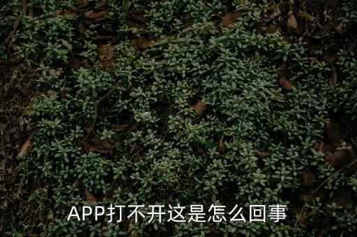 APP打不開(kāi)這是怎么回事