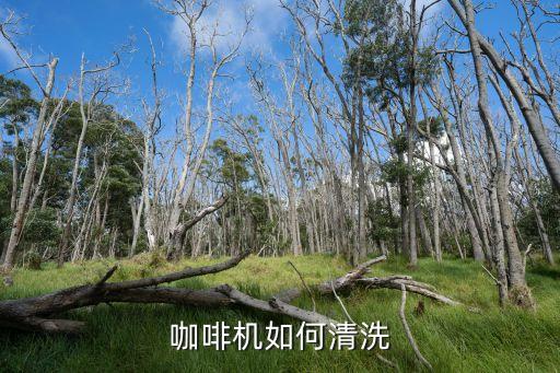 交行怎么刷咖啡膠囊機(jī)，膠囊咖啡機(jī)清洗方便嗎