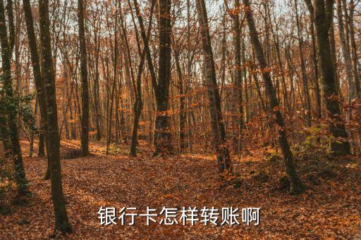 銀行卡怎樣轉(zhuǎn)賬啊
