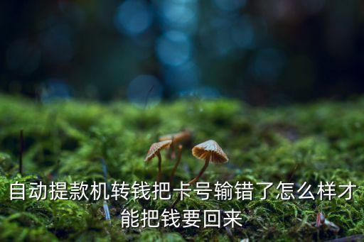 自動取款機打錯卡怎么辦，自動取款機上錢打錯卡號怎么辦