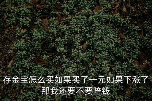 存金寶怎么賣賺錢嗎，支付寶存金寶怎么賺錢呢放在那就可以