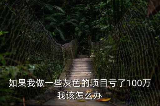 如果我做一些灰色的項(xiàng)目虧了100萬我該怎么辦