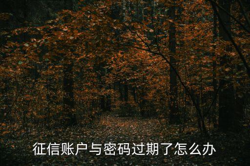 征信賬戶與密碼過期了怎么辦