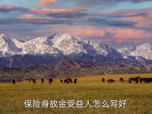 保險(xiǎn)身故金受益人怎么寫好