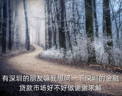 有深圳的朋友嘛我想問一下深圳的金融貸款市場好不好做謝謝求解