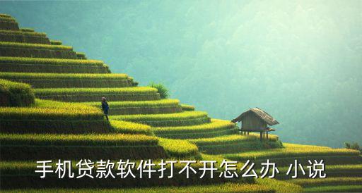 安心貸怎么打不開，手機貸款軟件打不開怎么辦 小說