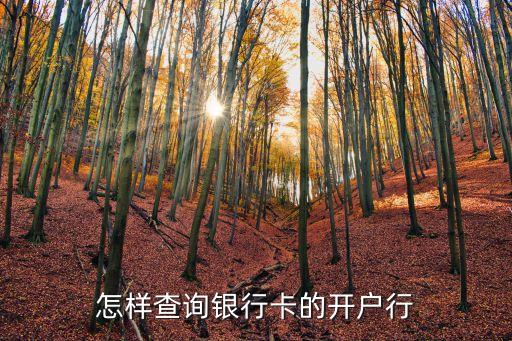 怎樣查詢銀行卡的開戶行