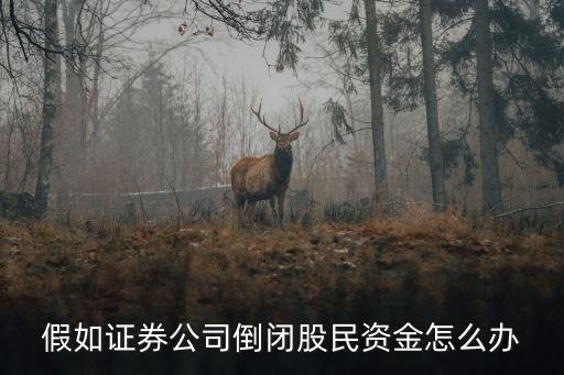 公司倒閉投資人的錢怎么辦，理財公司倒閉投資者的錢怎么辦