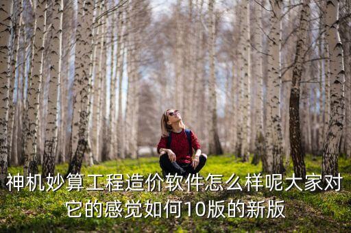 中產(chǎn)之家怎么樣，神機(jī)妙算工程造價(jià)軟件怎么樣呢大家對(duì)它的感覺如何10版的新版