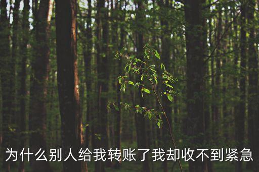 收不到轉(zhuǎn)賬匯款怎么回事，本行轉(zhuǎn)賬為什么收不到