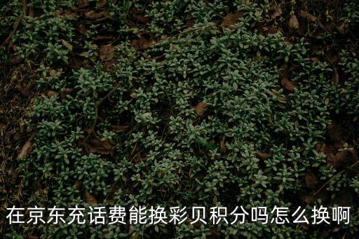 在京東充話費(fèi)能換彩貝積分嗎怎么換啊