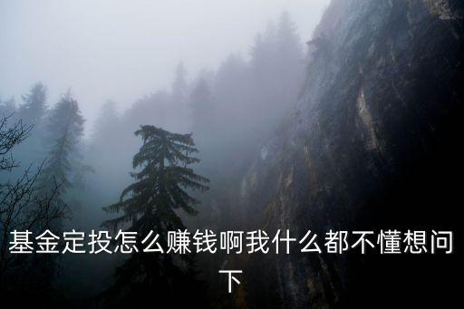 基金定投怎么賺錢啊我什么都不懂想問下