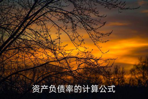 資產(chǎn)負(fù)債率的計算公式
