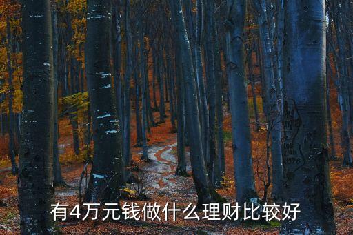 有4萬元錢做什么理財(cái)比較好