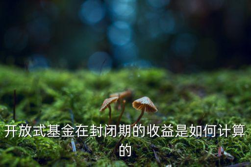 開放式基金在封閉期的收益是如何計算的