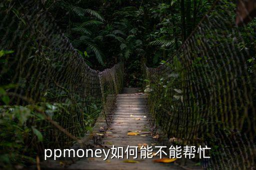 ppmoney如何能不能幫忙