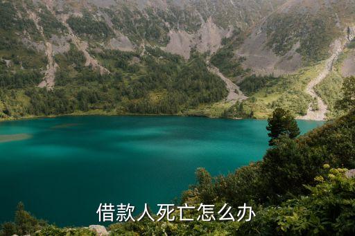 借款人死亡怎么辦