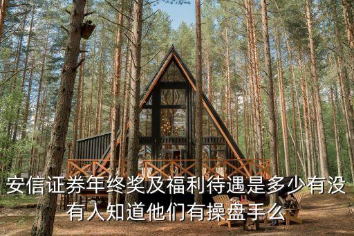安信證券怎么樣，現(xiàn)在哪個(gè)證券公司比較牛逼
