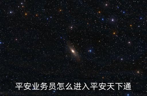 平安業(yè)務(wù)員怎么進入平安天下通