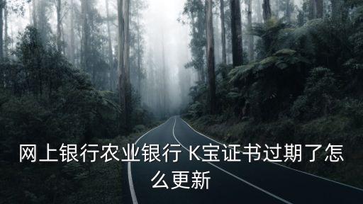 網(wǎng)上銀行農(nóng)業(yè)銀行 K寶證書過期了怎么更新
