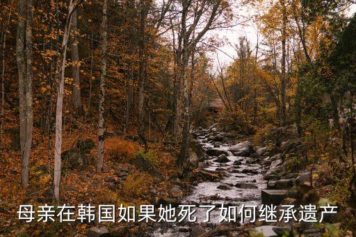 韓國遺產(chǎn)怎么繼承，母親在韓國如果她死了如何繼承遺產(chǎn)