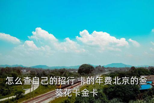 怎么查自己的招行 卡的年費北京的金葵花卡金卡