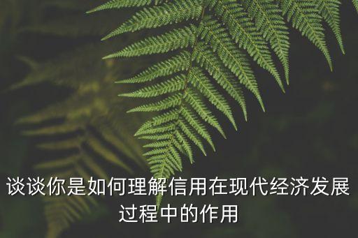 你是怎么理解信用的，信用的意思