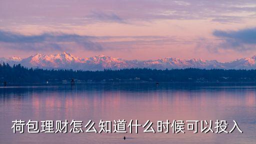 荷包投資怎么算，荷包理財安全嗎它的萬份收益是多少可以隨時隨地轉(zhuǎn)去轉(zhuǎn)出提現(xiàn)嗎