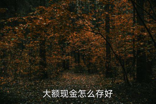 大額資金怎么存安全，大手筆的資金百萬或以上哪種形式的存法和銀行比較合理安全