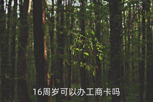 16周歲可以辦工商卡嗎