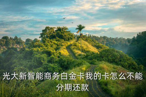 光大智能商務(wù)怎么樣用劃算，光大新智能商務(wù)白金卡我的卡怎么不能分期還款