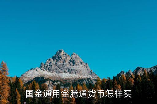 國(guó)金通用金騰通貨幣怎樣買(mǎi)