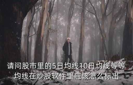 請問股市里的5日均線10日均線等等均線在炒股軟件里應該怎么標出