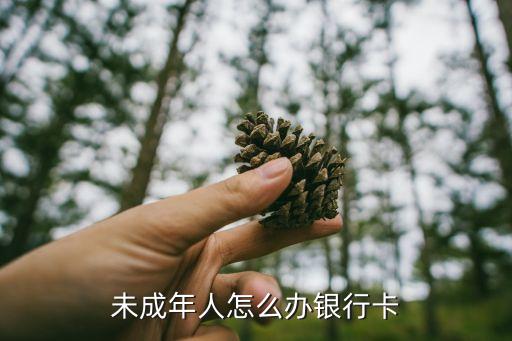 未成年人怎么辦銀行卡
