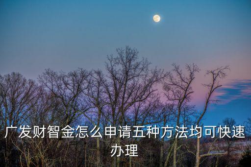 廣發(fā)才智金怎么申請，廣發(fā)信用卡樂享財智金如何申請