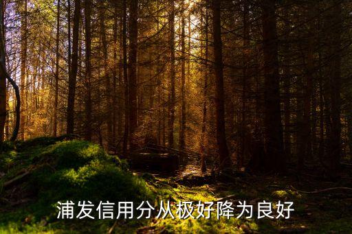 浦發(fā)信用分從極好降為良好
